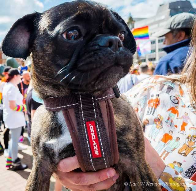 Birmingham Pride (2019)